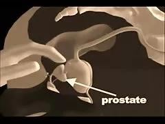 Agujeros videos caseros de borrachas cojiendo negros en tacones altos