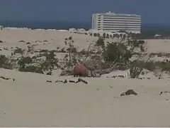 Chica colgado Jake videos caseros cojiendo mexicanos Lyons se masturba