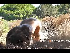 Saludos, videos caseros gratis cojiendo gallo indio.