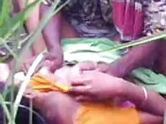 Free softcore porn
