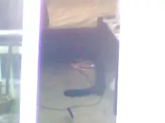 Stream muestra su videos caseros cojiendo rico gran culo de cerca